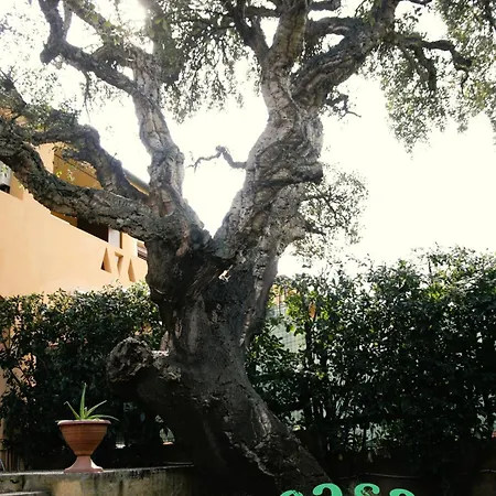 Apartment Casa Quercia Olbia